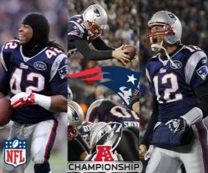 Puzle New England Patriots campeão AFC 2011