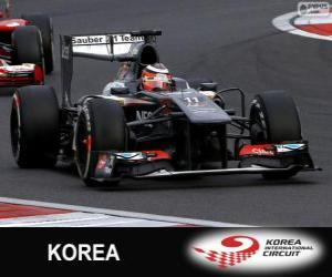Puzle Nico Hülkenberg - Sauber - Circuito Internacional de Coreia, 2013