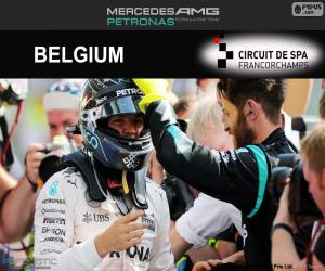Puzle Nico Rosberg, GP da Bélgica 2016