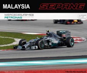 Puzle Nico Rosberg - Mercedes - Grande Prêmio da Malásia 2014, 2º classificado