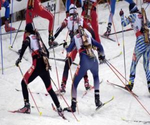 Puzle O biatlo em um esporte de inverno da combinação de cross-skiing país com tiro ao alvo.