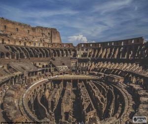 Puzle O Coliseu, interior