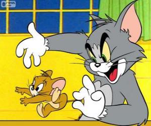 Puzle O gato Tom pegar rato Jerry