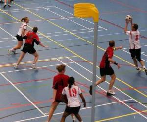 Puzle O korfbal, também chamado balonkorf, é um esporte coletivo disputado entre duas equipas que procuram introduzir uma bola em uma cesta.