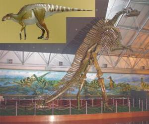 Puzle O Zhuchengosaurus é um do maior conhecido hadrosaurids