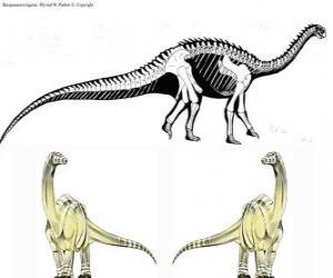 Puzle O zizhongosaurio foi um pequeno saurópode que atingiu o 9,00 metros, 2.5 altura e 8 toneladas de peso