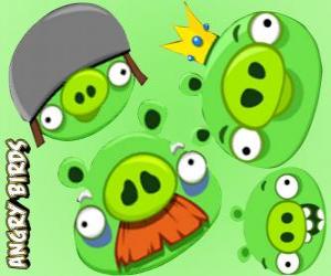 Puzle Os porcos de Angry Birds