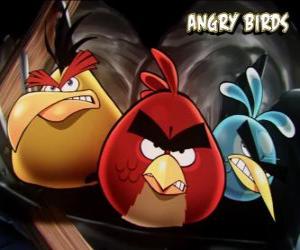 Puzle Outras três pássaros de videogame Angry Birds