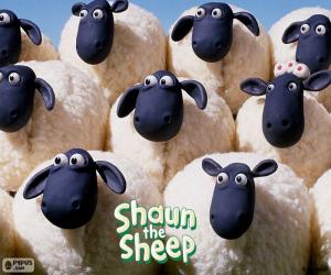 Puzle Ovelha do rebanho de Shaun