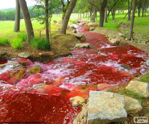 Puzle Paisagem com um rio vermelho