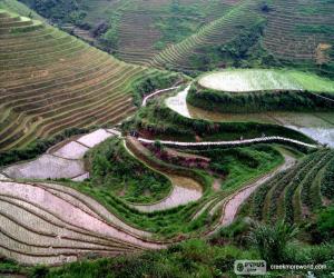 Puzle Paisagem da China rural