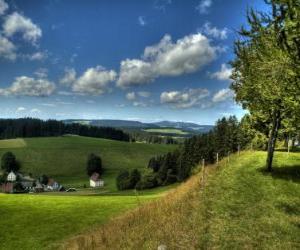 Puzle Paisagem da Floresta Negra