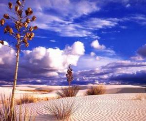 Puzle Paisagem de deserto