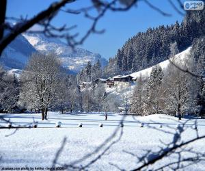 Puzle Paisagem de inverno