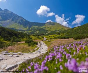 Puzle Paisagem montanhosa