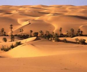 Puzle Palmeiras nas dunas do deserto