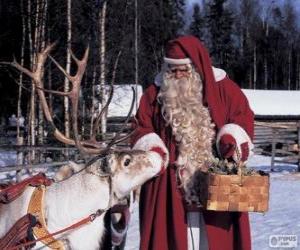 Puzle Papai Noel dando alimentar as renas