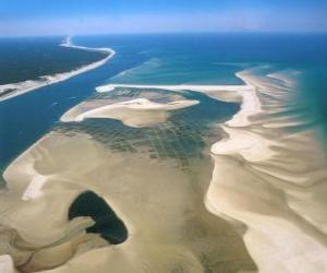 Puzle Parque Nacional do Banco de Arguim, localizada ao longo da costa atlântica. Mauritânia.