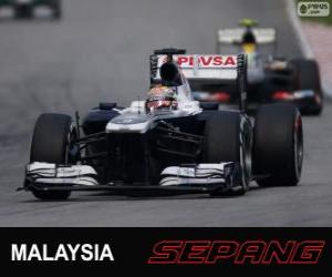 Puzle Pastor Maldonado - Williams - Sepang 2013