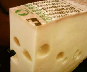 Puzle Peça entera aberta de queijo tipo gruyer ou emmental