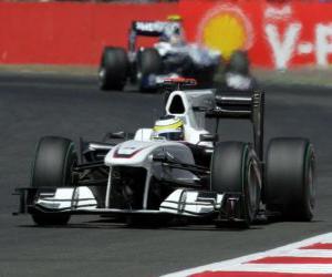 Puzle Pedro de la Rosa - Sauber - Silverstone 2010