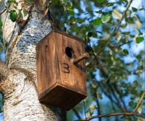 Puzle Pequena casa de madeira para pássaros na primavera