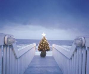 Puzle Pequeno Árvore de Natal decorada beira-mar