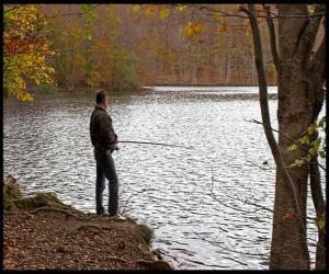 Puzle Pesca - Pescador de rio em ação em uma paisagem florestal