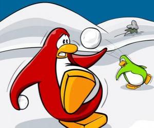 Puzle Pinguins lutando uma guerra de neve no Club Penguin