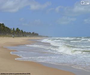 Puzle Praia de Imbassai, Brasil