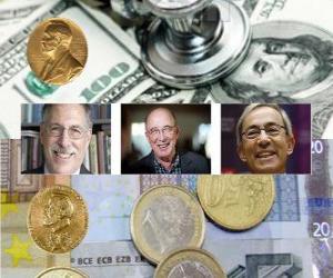 Puzle Prêmio Nobel de Economia 2010 - Peter A. Diamond, Dale T. Mortensen e Christopher A. Pissarides -