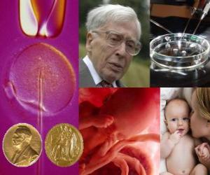 Puzle Prêmio Nobel de Medicina 2010 - Robert Edwards -