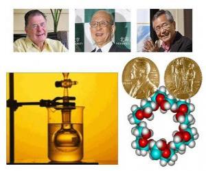 Puzle Prêmio Nobel de Química 2010 - Richard Heck, Eiichi Negishi e Suzuki Akira -