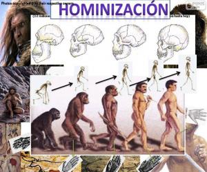 Puzle Processo de de homininização