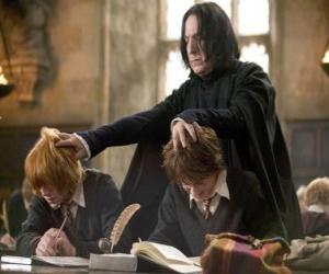 Puzle Professor Severo Snape, estudando e Harry Potter Ron Weasley