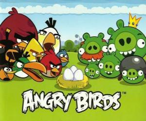 Puzle Pássaros, ovos e porcos verdes em Angry Birds