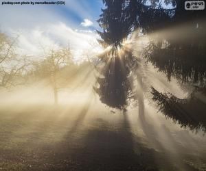 Puzle Raios de sol