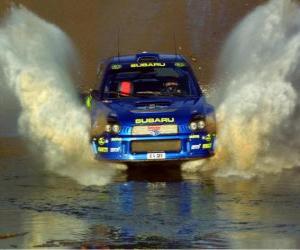 Puzle Rali WRC - Passagem da água