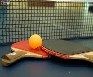 Puzle Raquetes e bola de ping-pong