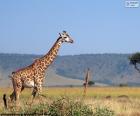 Girafa na paisagem