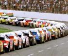 Corrida Nascar