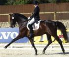 Cavalo e cavaleiro que executam um exercício de adestramento