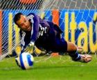 Goleiro ou guarda-redes pronto para pegar a bola