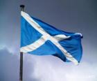 Bandeira da Escócia, nação do Reino Unido