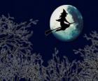 Bruxa voando em sua vassoura mágica na noite de Halloween