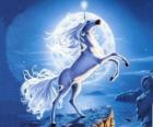 Unicorn - Jovem cavalo com um chifre em espiral