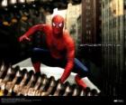 Spiderman, o homem-aranha, em cócoras