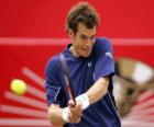 Andy Murray pronto para um golpe