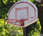 Cesta essencial para jogar basquete