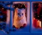 Gato olhando pela janela no Natal